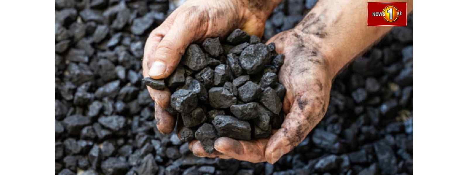 நிலக்கரியின் தரம் தொடர்பில் ஆராய குழு